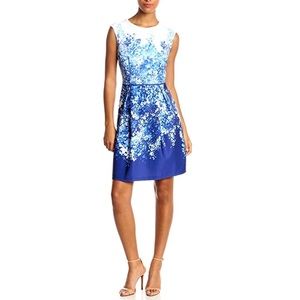 Studio One Fit and Flair Floral Watercolor Dress